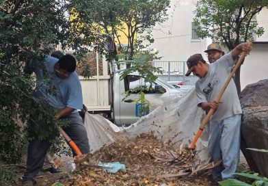 Gobierno de Riult Rivera realiza brigada de limpieza y reforestación en la Colonia Las Palmas, de la capital