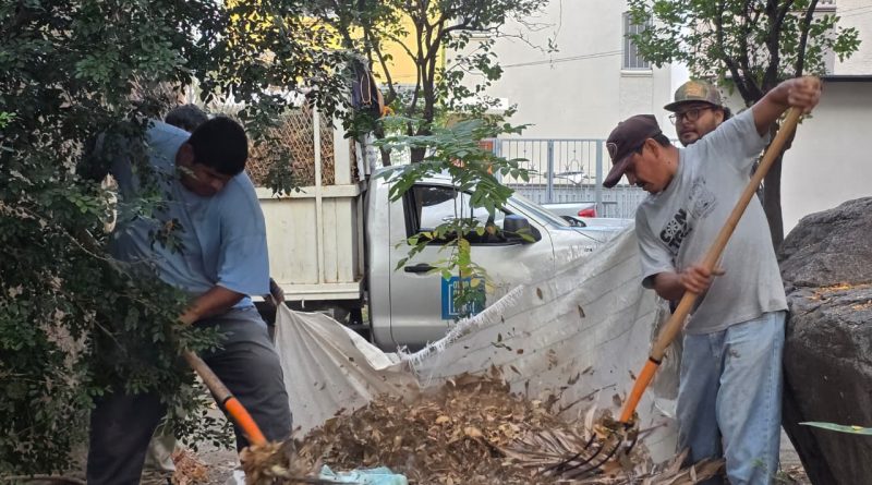 Gobierno de Riult Rivera realiza brigada de limpieza y reforestación en la Colonia Las Palmas, de la capital