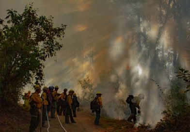 Quema prescrita en ejido Quesería transcurre bajo control: Conafor e Imades