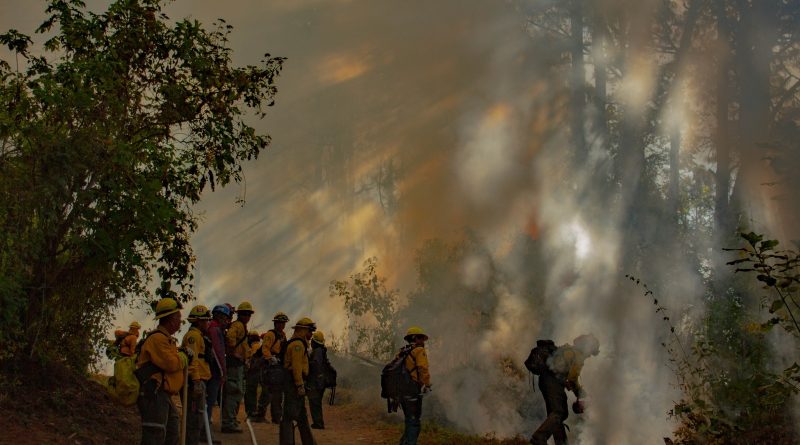 Quema prescrita en ejido Quesería transcurre bajo control: Conafor e Imades