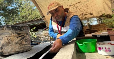 Salud Colima intensifica control larvario en Manzanillo, Tecomán y Armería