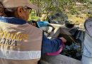 Salud Colima refuerza control larvario en zona conurbada y municipios costeros