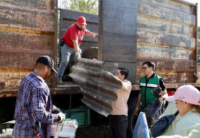 SS: Colima reporta cero casos de dengue y se posiciona entre los estados con menor incidencia