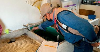 Salud Colima refuerza control larvario contra dengue en cinco municipios del estado