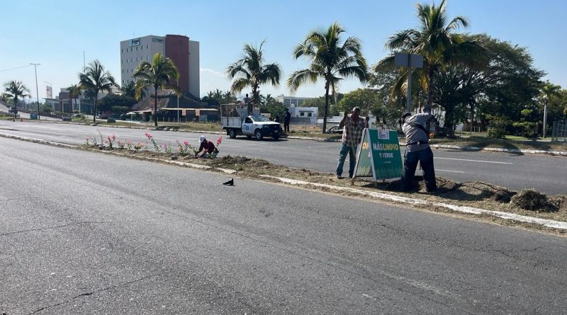 Cuadrilla de Parques y Jardines realiza labores de limpieza en el Tercer Anillo Periférico