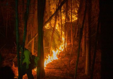 Avanza resultados positivos la quema prescrita en Quesería