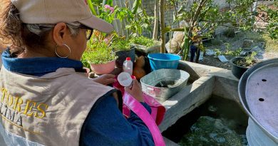 Salud Colima refuerza jornada intensiva contra el dengue en cinco municipios Salud Colima refuerza jornada intensiva contra el dengue en cinco municipios
