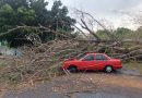 Afectaciones por lluvias y viento en varios municipios: UEPC