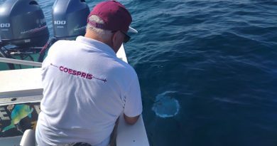 Playas colimenses aptas para uso recreativo en Semana Santa y Pascua: Secretaría de Salud