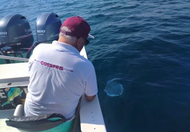 Playas colimenses aptas para uso recreativo en Semana Santa y Pascua: Secretaría de Salud