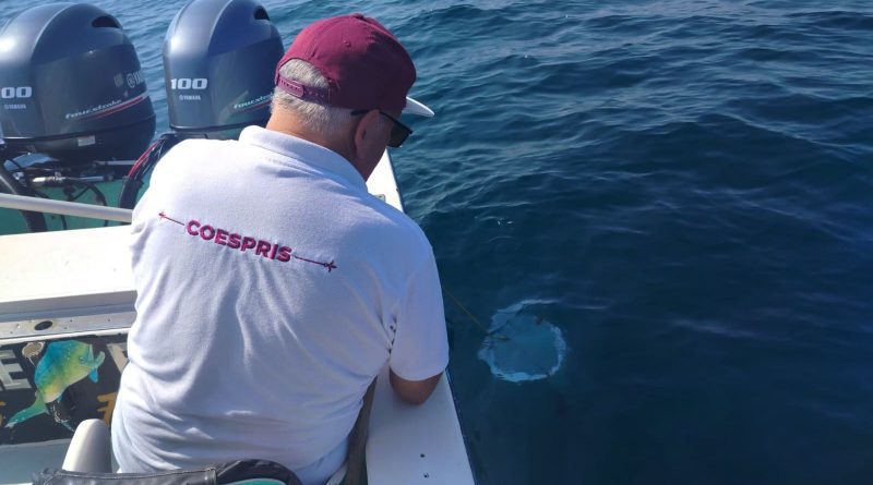 Playas colimenses aptas para uso recreativo en Semana Santa y Pascua: Secretaría de Salud