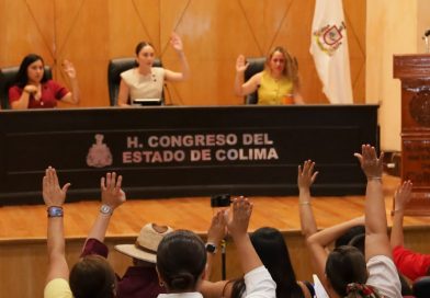 Capacidad de gestión financiera de actual administración: Alvaro Lozano