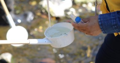Con labores de prevención Colima acumula más de 20 años sin paludismo: Salud