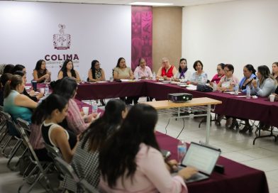 ICM y colectivas feministas trabajan para atender Declaratoria de Alerta de Violencia de Género contra las mujeres