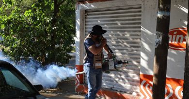 Estado de Colima se mantiene sin casos de dengue 2026:SS