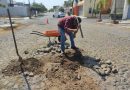 Realiza Operación Bacheo acciones en calles empredradas de VdeA