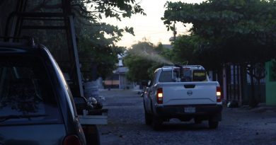 Colima se mantiene libre de casos de dengue y está entre los estados del país con menor incidencia