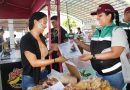Coespris refuerza vigilancia sanitaria durante «Fan Festival Mundialista» en Colima y Villa de Álvarez