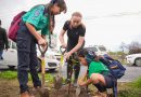 Encabeza Tey Gutiérrez jornada de reforestación