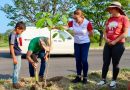 Invita Tey a sumarse a campañas de regorestación