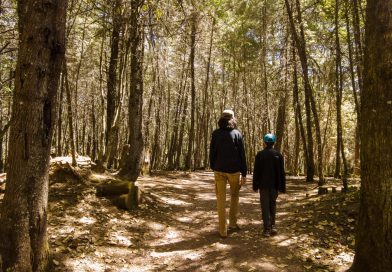 «Feria del Hongo 2026» en la Sierra de Manantlán: Turismo
