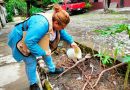 Colima, CDMX, Tlaxcala y Zacatecas, únicas entidades sin dengue