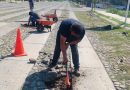 Continúan trabajos de bacheo en VdeA