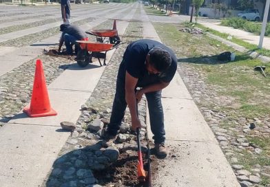 Continúan trabajos de bacheo en VdeA