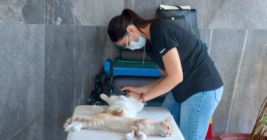 Salud exhorta a prevenir enfermedades en animales para proteger a la población
