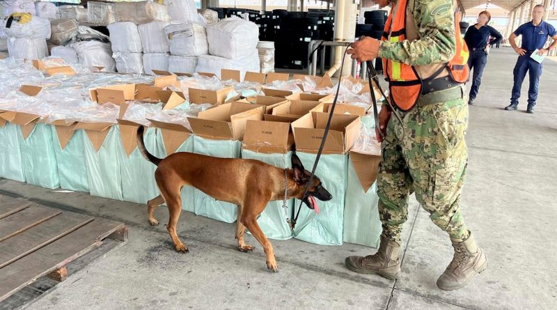 Marina, ANAM y SSPC aseguran cerca de 10 millones de cigarros ilícitos