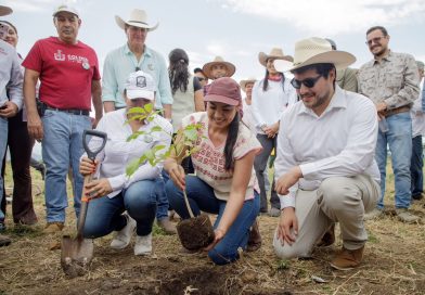 Desde Cuauhtémoc Indira Vizcaíno encabezó jornada Nacional de Reforestación que puso en marcha la Presidenta Claudia Sheinbaum