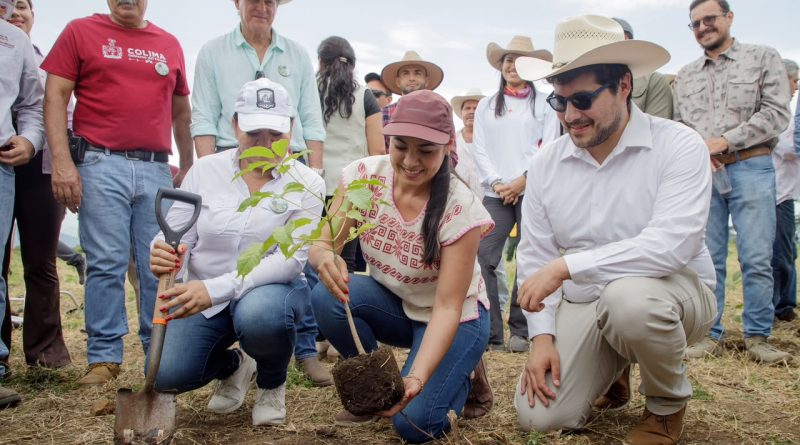 Desde Cuauhtémoc Indira Vizcaíno encabezó jornada Nacional de Reforestación que puso en marcha la Presidenta Claudia Sheinbaum
