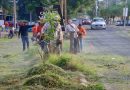 Encabeza Tey Macro brigada de Limpieza al norte de VdeA