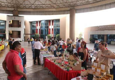 Sedeco invita a consumo local y apoyar el Mercadito con Causa Teletón