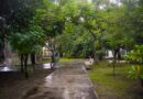 ‎Intervienen área verde ‎en Jardines Bugambilias y se convierte en es Entorno Seguro